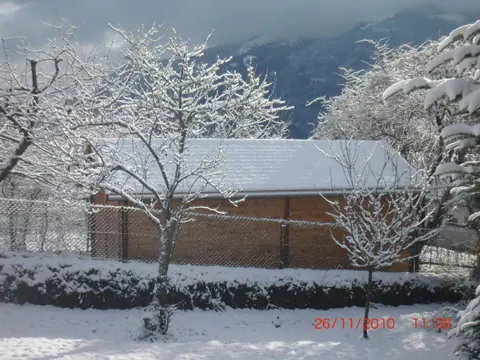 Garage en madriers sous la neige, arbre en fleurs de givre